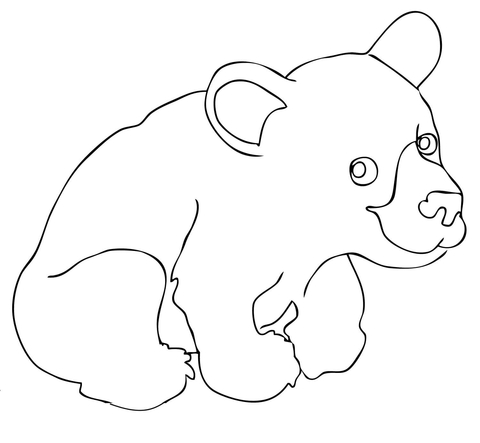 Cute American Black Bear Cub Coloring Page